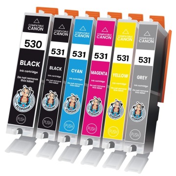ECOPrinter Canon 530P1 | Pack de 6 cartouches ECOPrinter équivalent à Canon PGI-530  / CLI-531  | Famille Canon PGI-530 / CLI-531 | 1 Noir et 5 Couleurs individuelles | 26.5/12.2ml