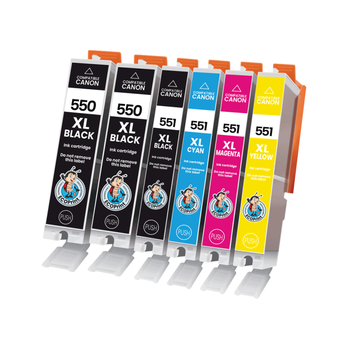 ECOPrinter Canon 550P2 | Pack de 6 cartouches ECOPrinter équivalent à Canon PGI-550 XL / CLI-551 XL  | Famille Canon PGI-550 / CL-551 | 2 Noir et 4 Couleurs individuelles | 500/1'130/695 pages