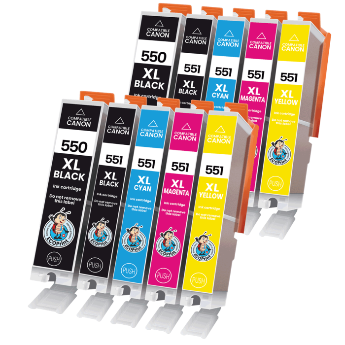 ECOPrinter Canon 550P3 | Pack de 10 cartouches ECOPrinter équivalent à Canon PGI-550 XL / CLI-551 XL  | Famille Canon PGI-550 / CL-551 | 2 Noir et 8 Couleurs individuelles | 500/1'130/695 pages