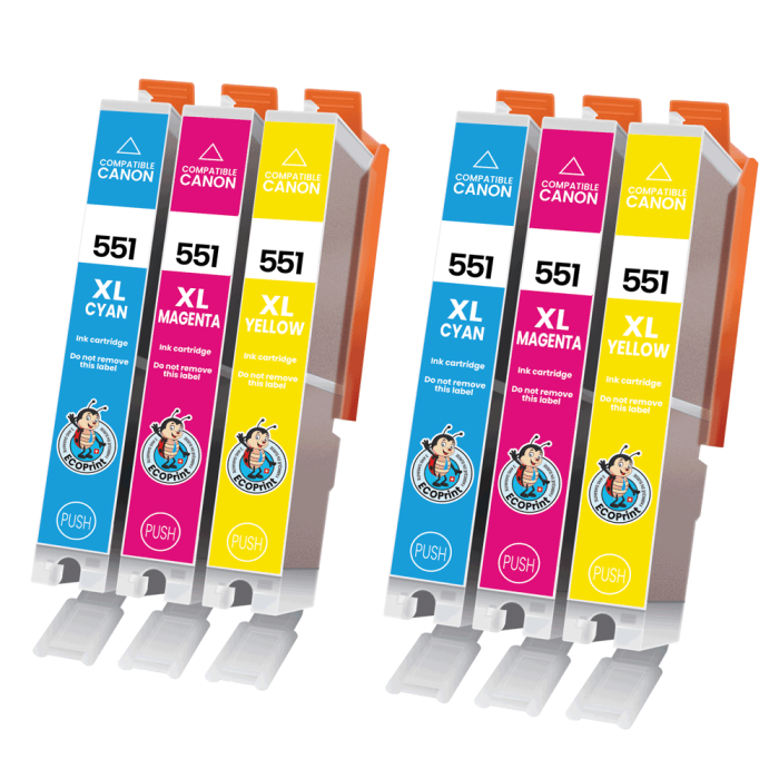 ECOPrinter Canon 550P5 | Pack de 6 cartouches ECOPrinter équivalent à Canon CLI-551 XL  | Famille Canon PGI-550 / CL-551 | 6 Couleurs individuelles | 1'130/695 pages
